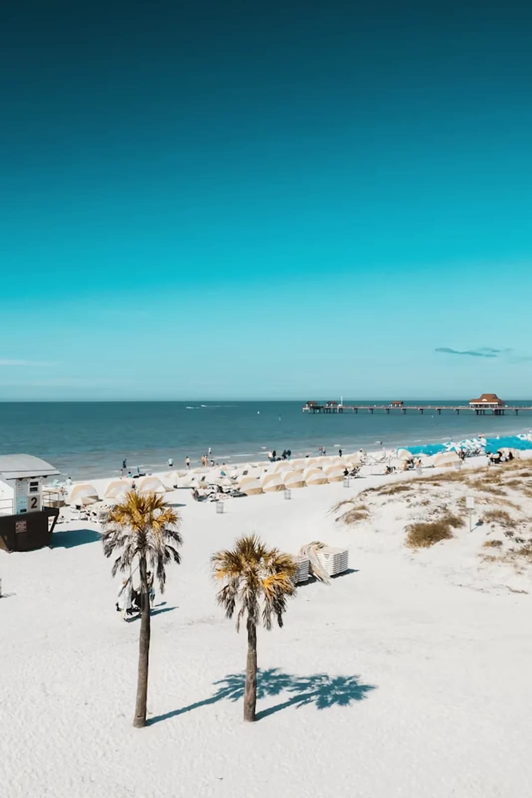 Tampa Beach – Bahamas