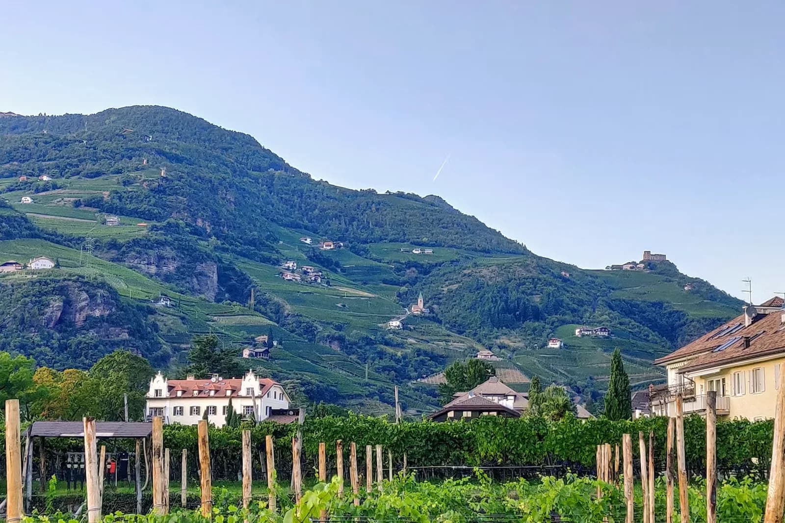 Weinberge und Bergpanorama – Bozen
