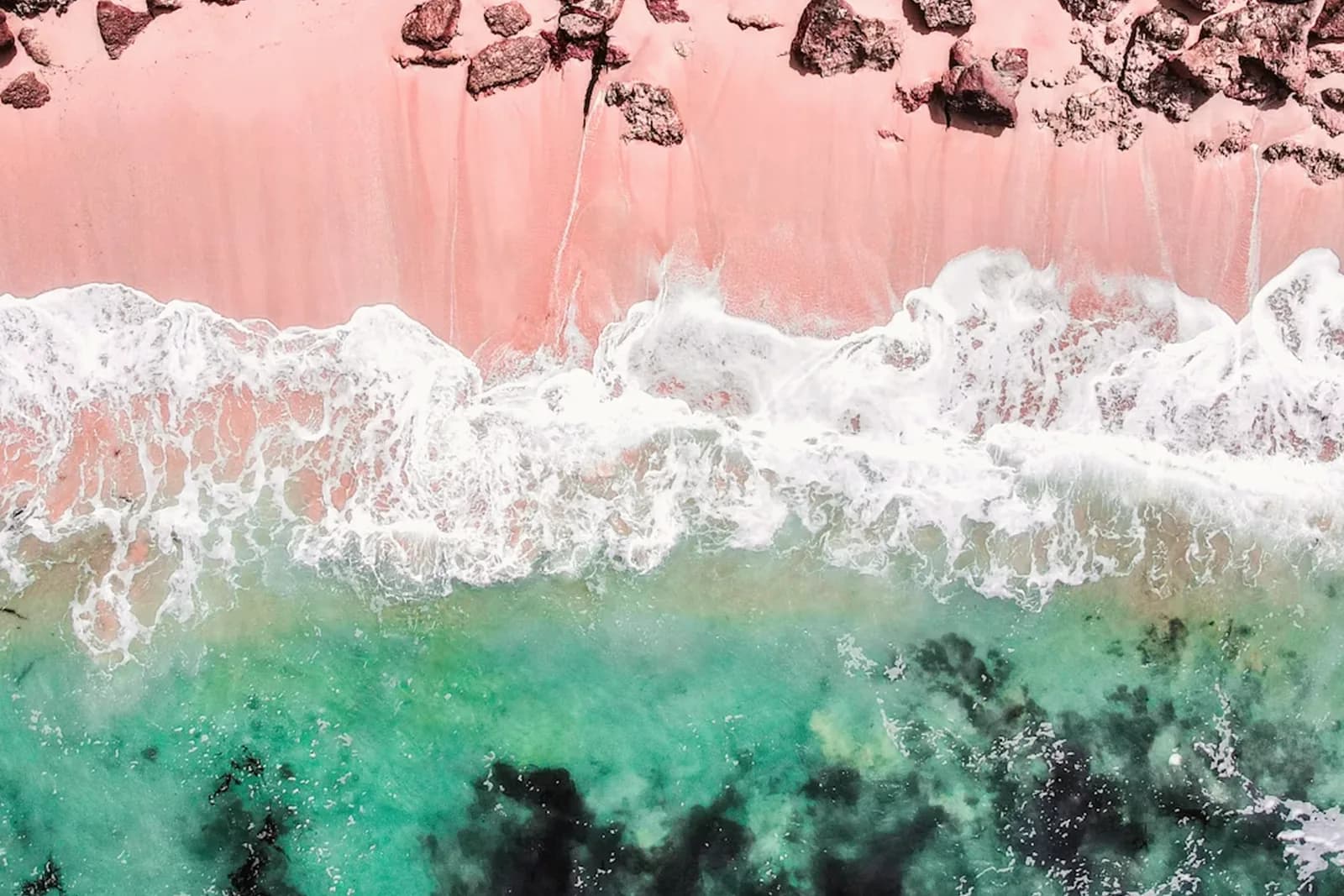 Pink Sand Beach Bahamas – Florida