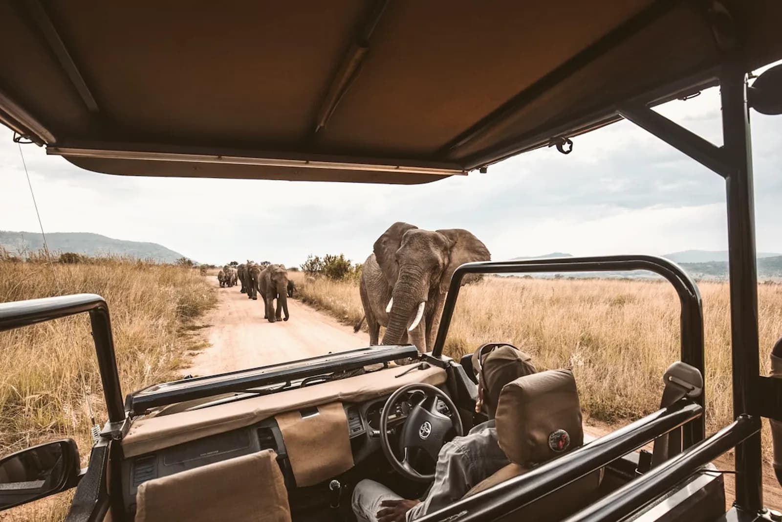 Etosha Safari – Namibia