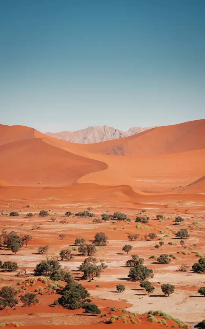Rote Dünen bei Sossusvlei