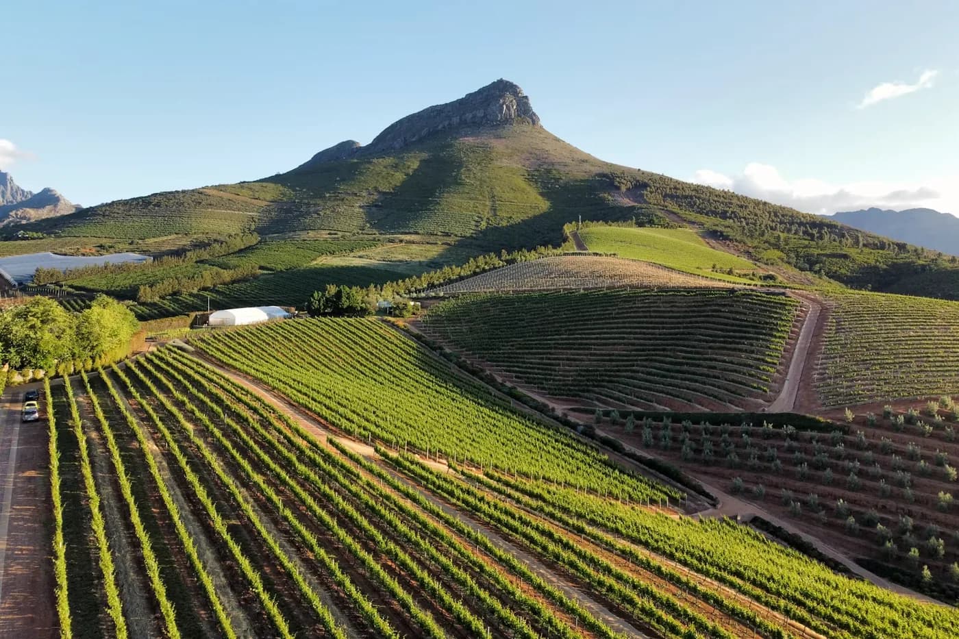 Weingut Blaauwklippen