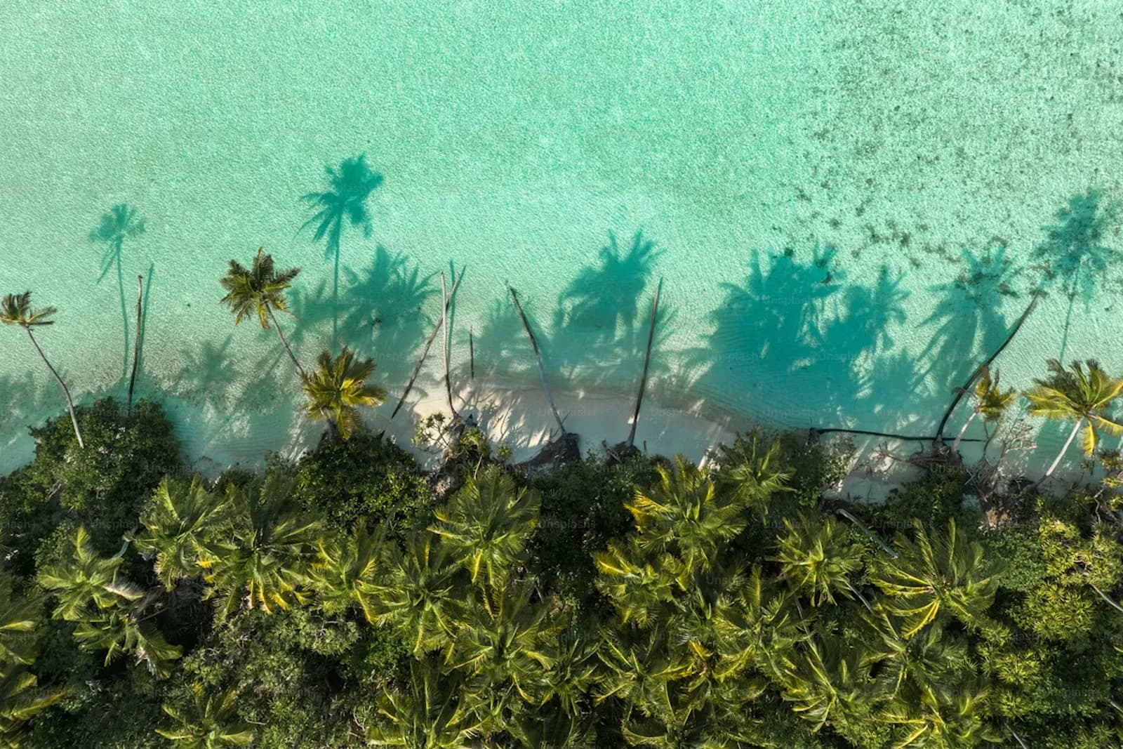 Beach Schatten Farben – Bahamas