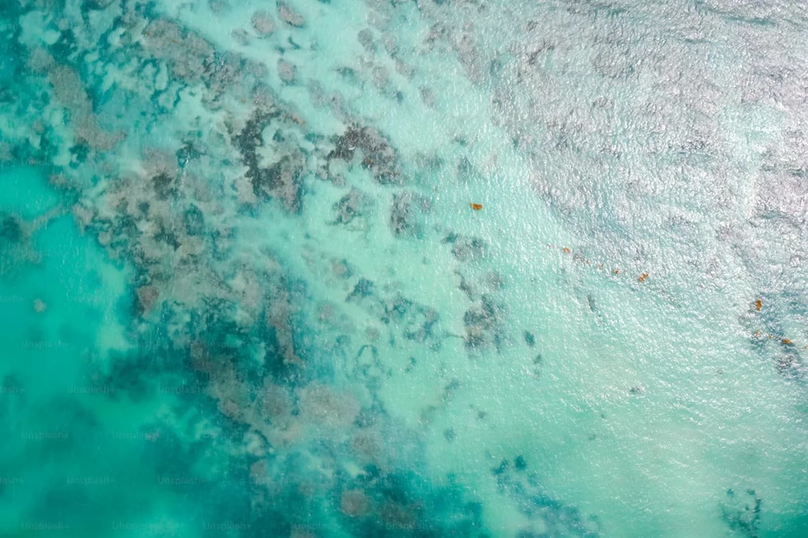 Thunderball Grotto – Bahamas