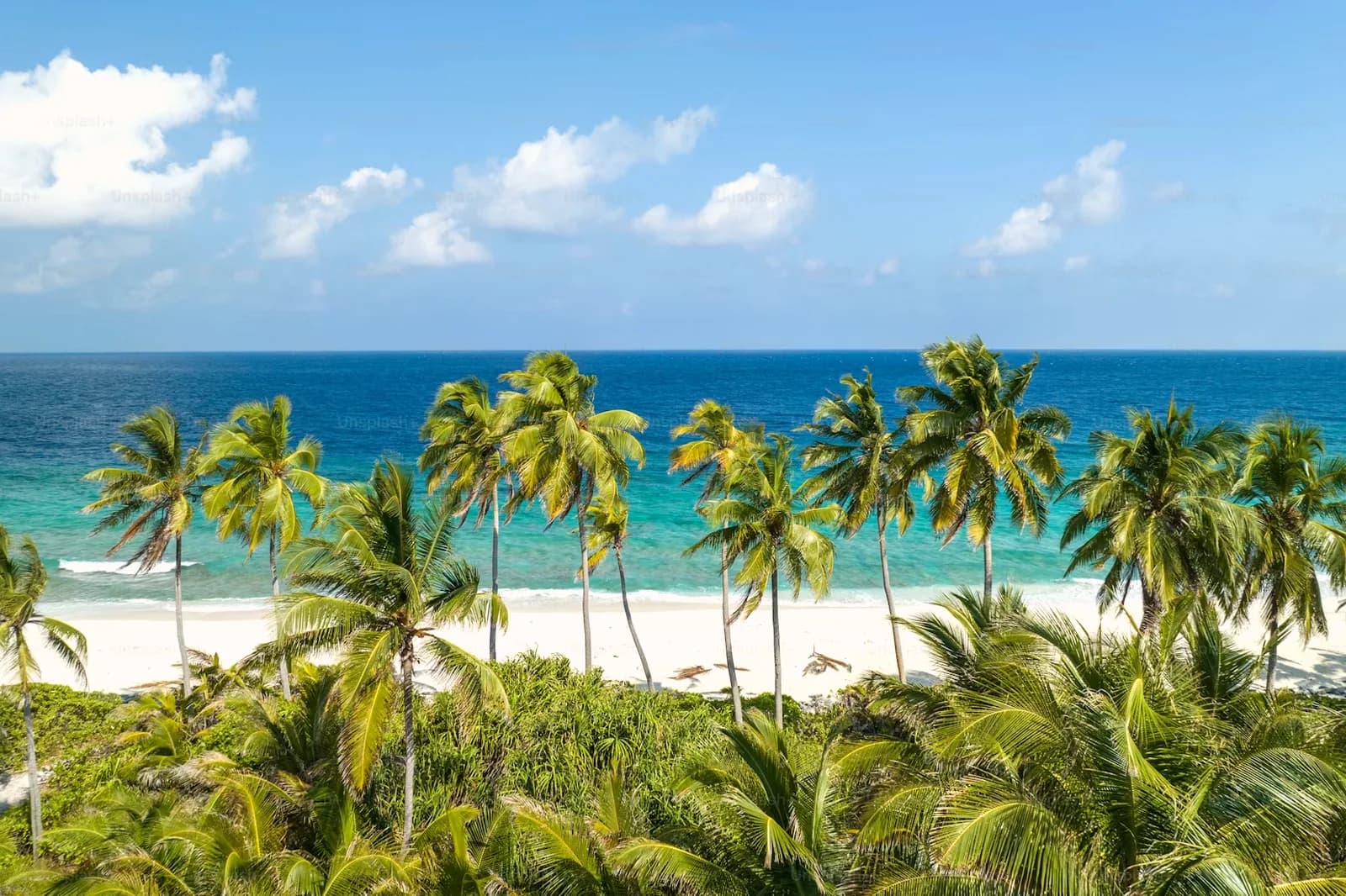 Weiterflug Harbour Island – Miami